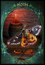 Witches Familiars Oracle Cards