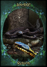 Witches Familiars Oracle Cards