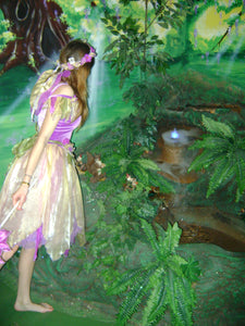 Fairy Princess Party In The Fairy Dell's Enchanted Party Forest