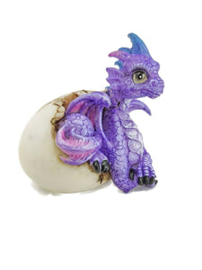 Cute Purple Dragons Hatching 4 styles