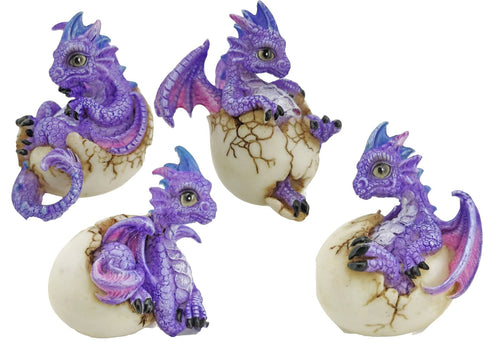 Cute Purple Dragons Hatching 4 styles