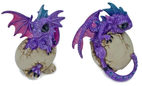 Cute Purple Dragon Hatchlings 2 styles