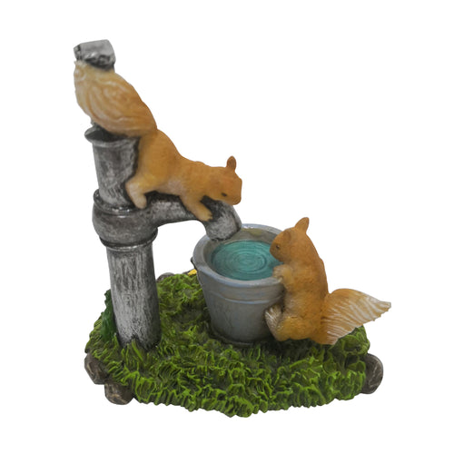 Squirrels Playing with water