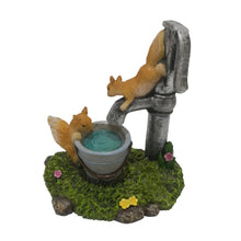 Squirrels Playing with water